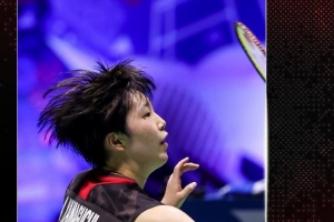 提高了得分 提高了得分